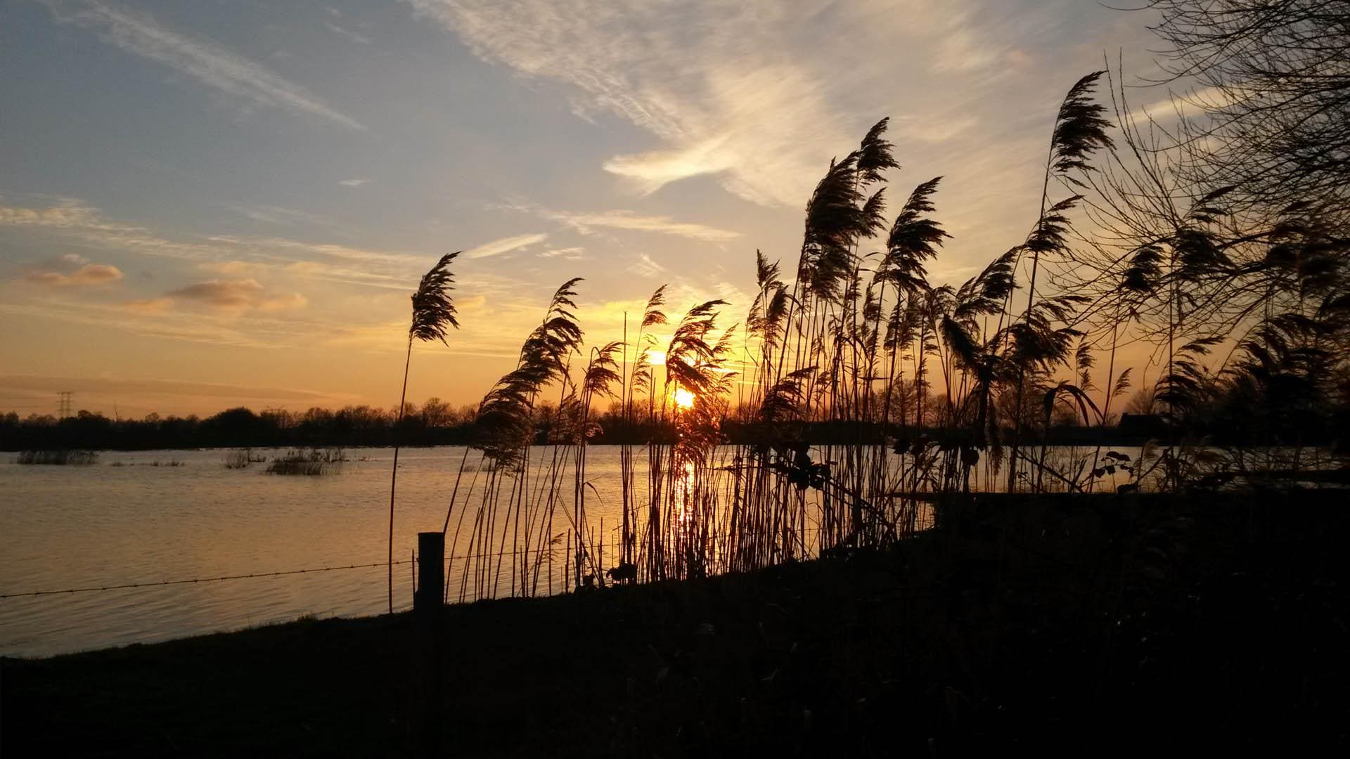 Zonsondergang over een ven met rietkragen