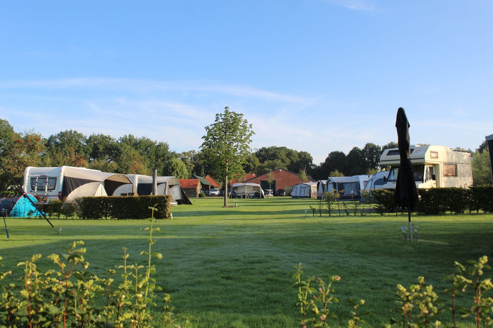 Vroege ochtendmist over de kampeervelden van Anne-Marie Hoeve, zonlicht tussen caravans en tenten